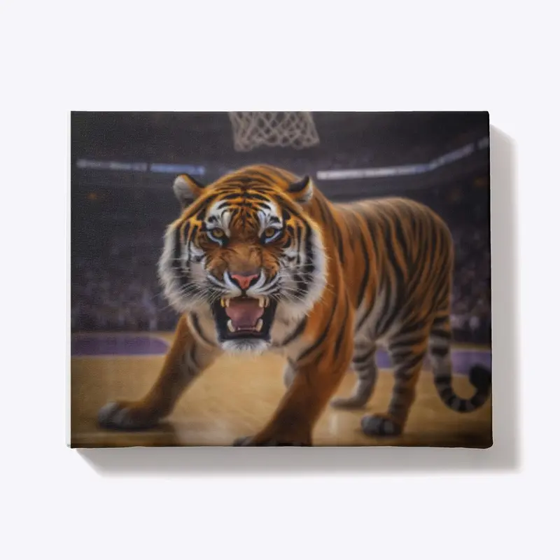 Tiger Basketball 1