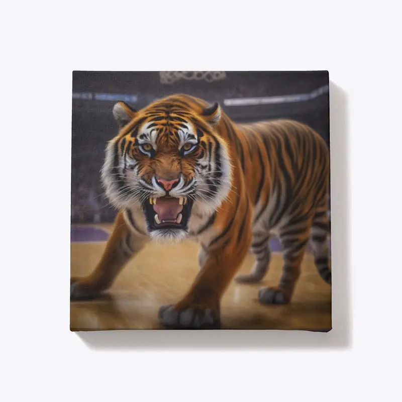 Tiger Basketball 1